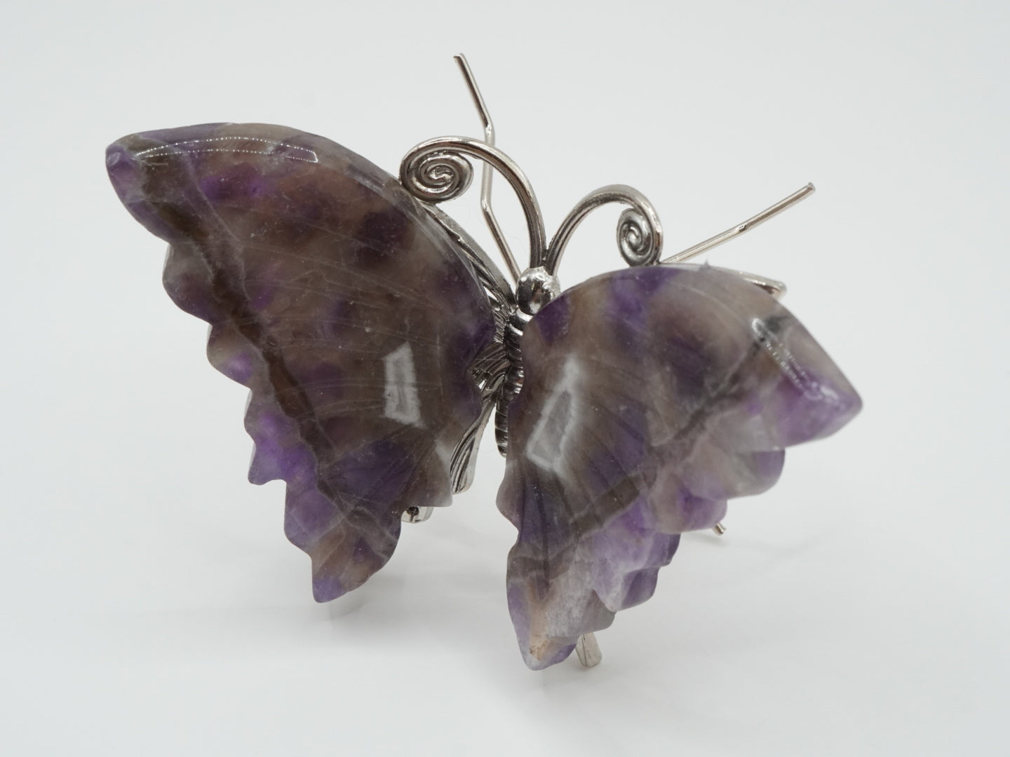 Traumamethyst Schmetterling