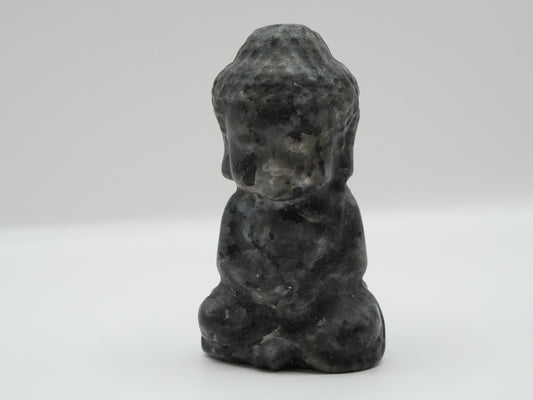 Larvikit Buddha