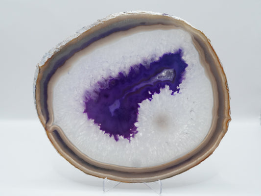 Achat Scheibe