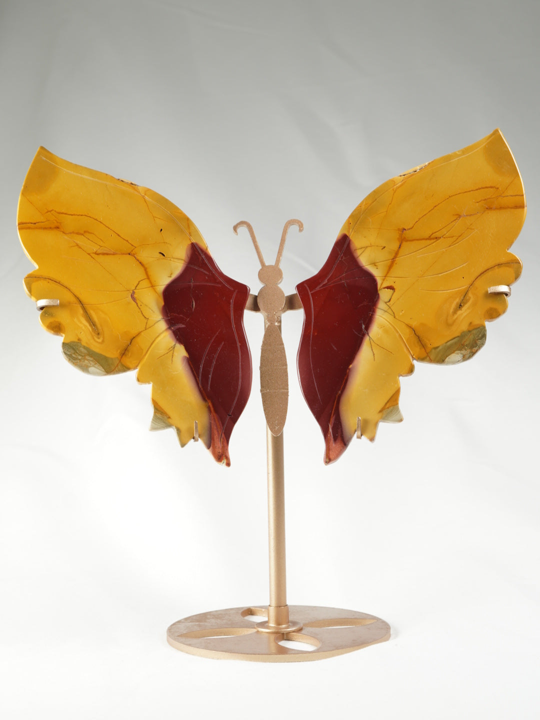 Mookait Schmetterling