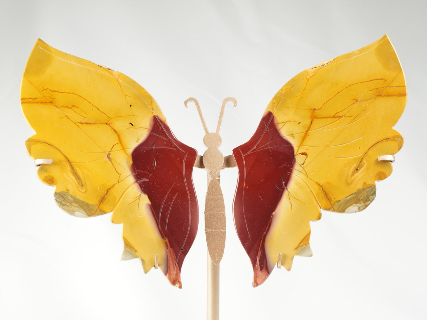 Mookait Schmetterling