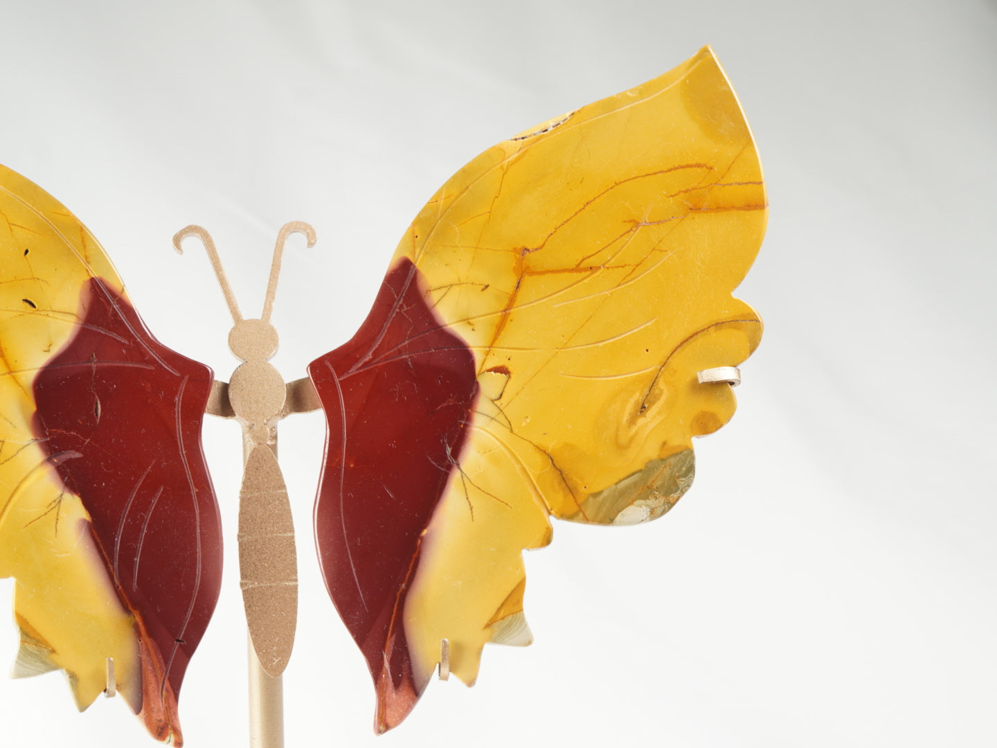Mookait Schmetterling