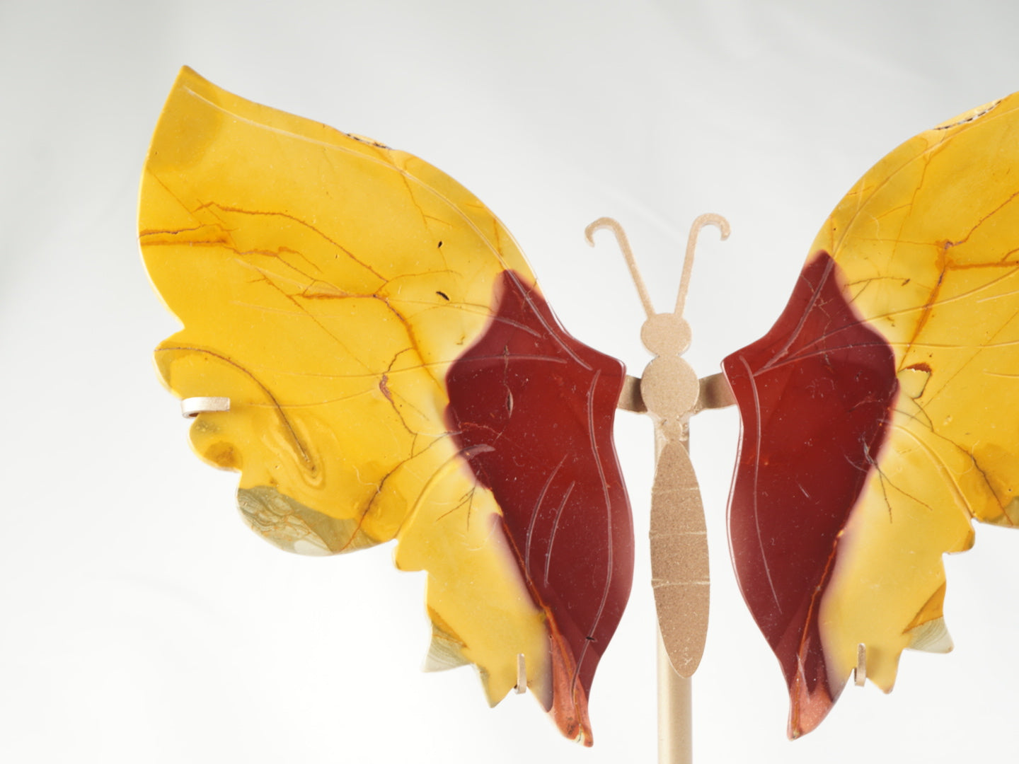 Mookait Schmetterling