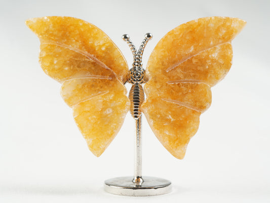 golden Healer Schmetterling