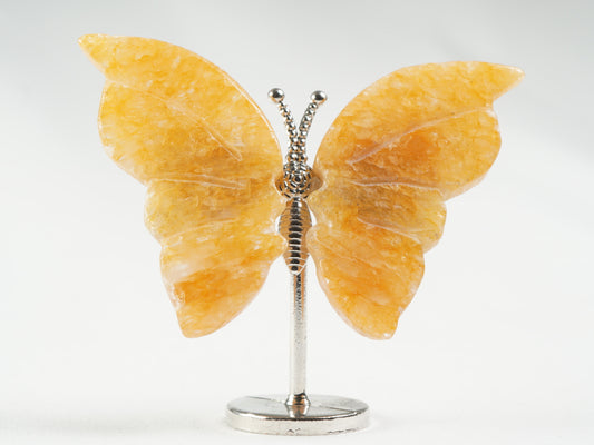 golden Healer Schmetterling
